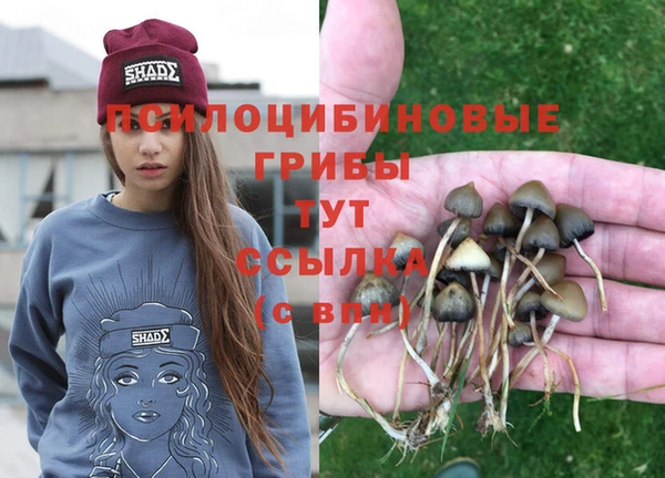 амф Балахна