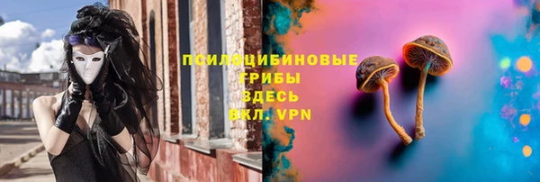 амф Балахна