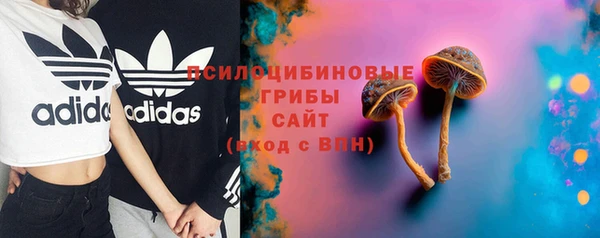 PSILOCYBIN Баксан