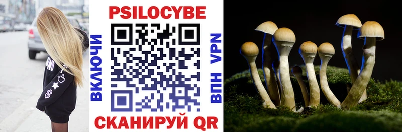 Псилоцибиновые грибы мухоморы  хочу   Бокситогорск 
